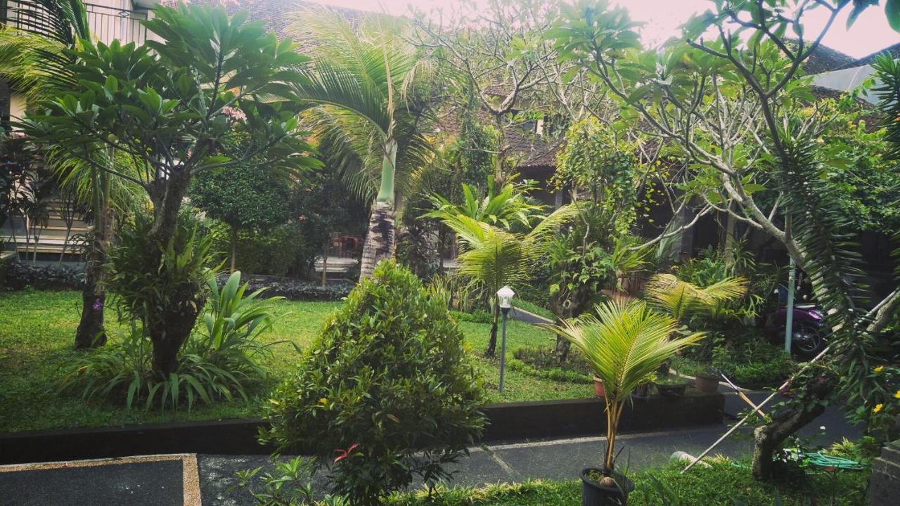 Nyuh Gading Accommodation Ubud エクステリア 写真