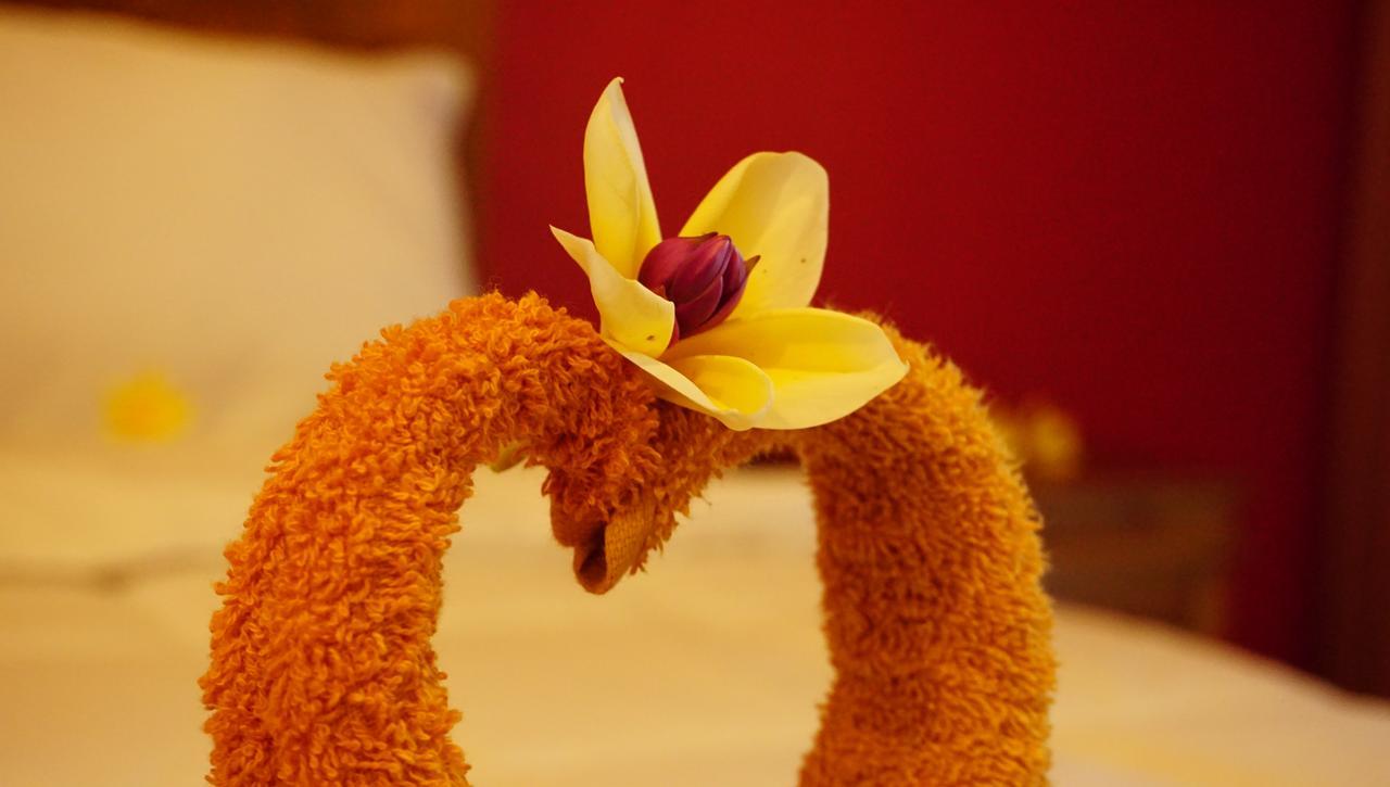 Nyuh Gading Accommodation Ubud エクステリア 写真