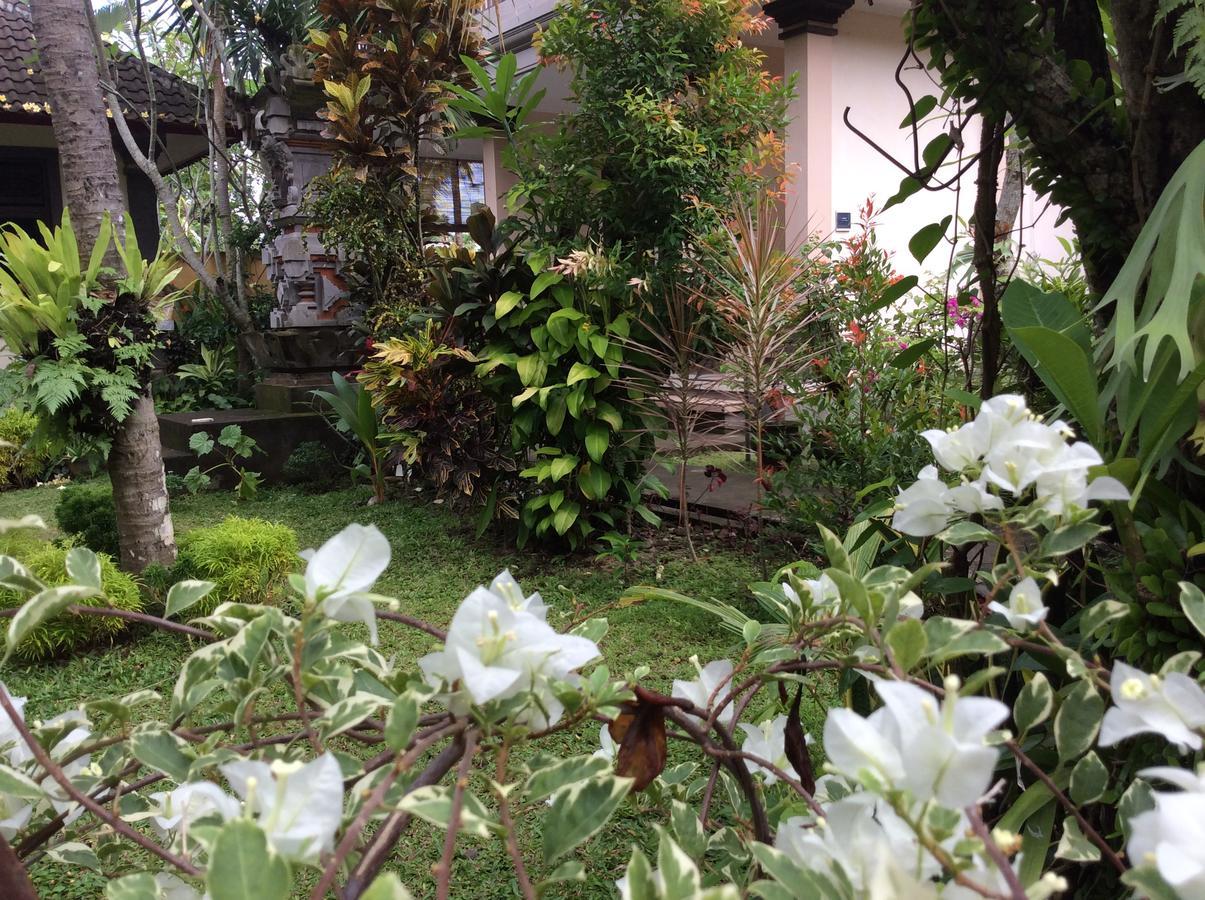 Nyuh Gading Accommodation Ubud エクステリア 写真